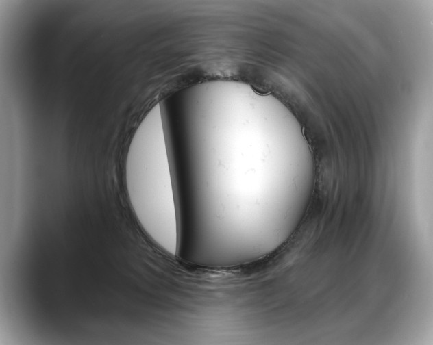 X0000088690229200705311004