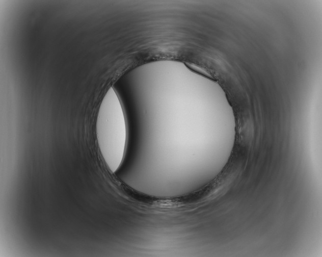 X0000088690231200705311004