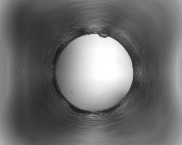 X0000088690232200705311004
