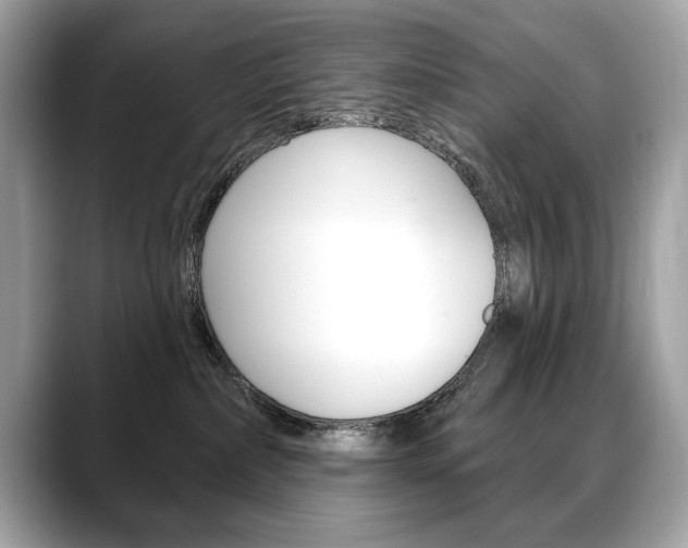 X0000088690236200705311003
