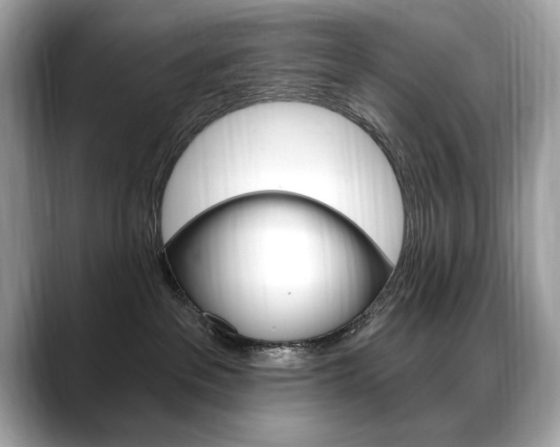 X0000088690237200705311003