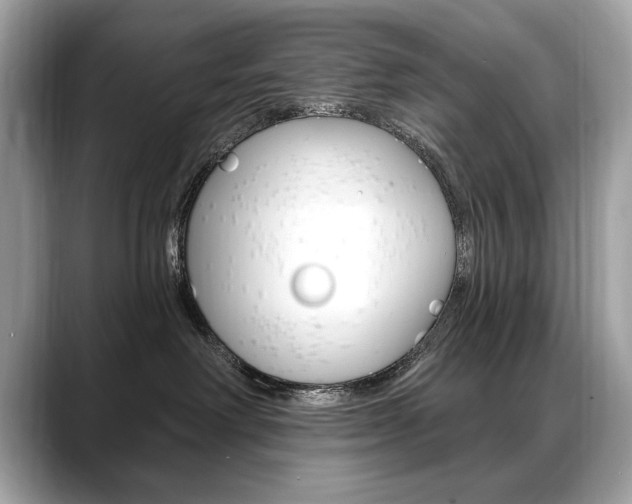 X0000088690238200705311003