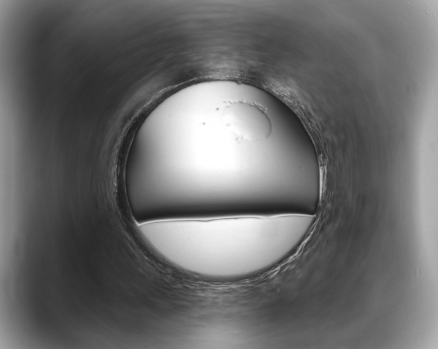 X0000088690243200705311003