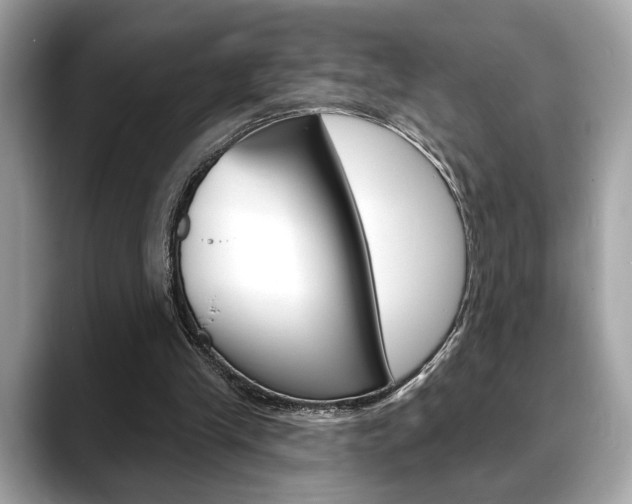 X0000088690245200705311003