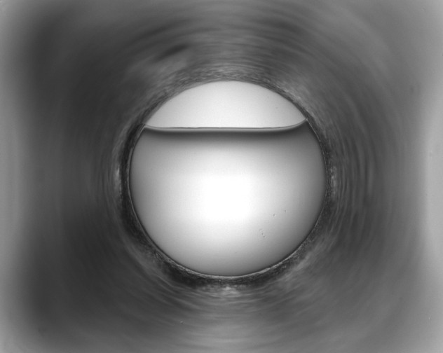 X0000088690254200705311003