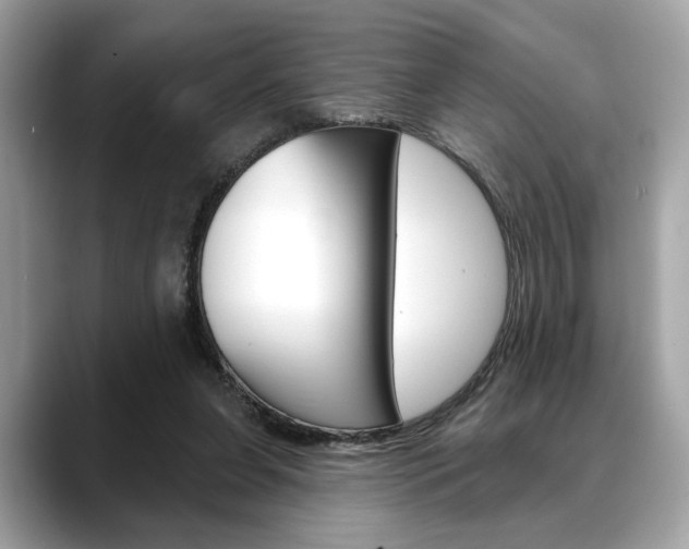 X0000088690255200705311003