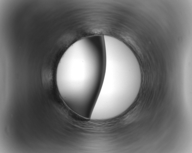 X0000088690260200705311003