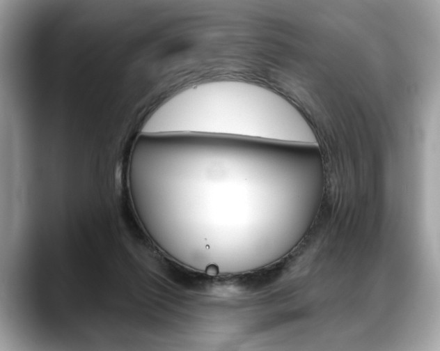X0000088690262200705311003