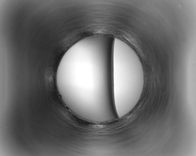 X0000088690265200705311003
