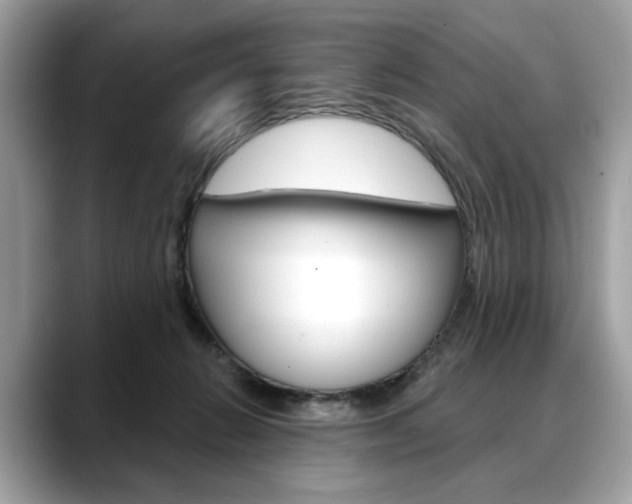 X0000088690270200705311003