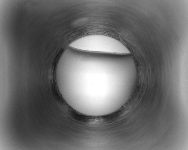 X0000088690274200705311003