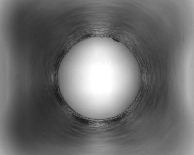 X0000088690276200705311003