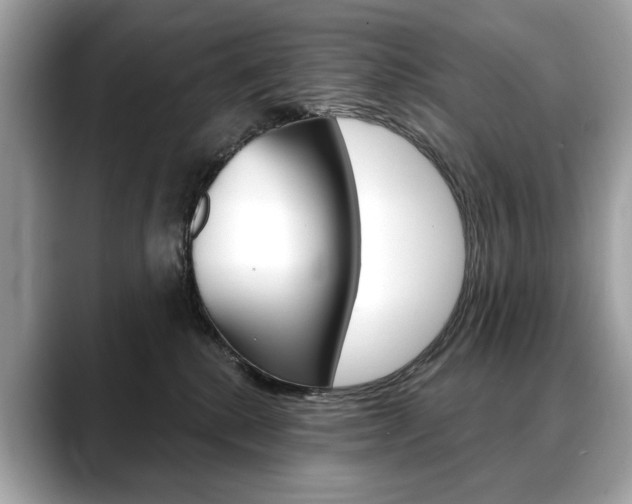 X0000088690280200705311003