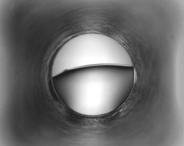X0000088690291200705311003