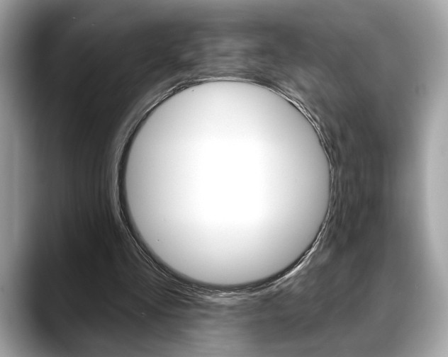 X0000088690293200705311003
