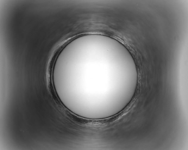 X0000088690294200705311003