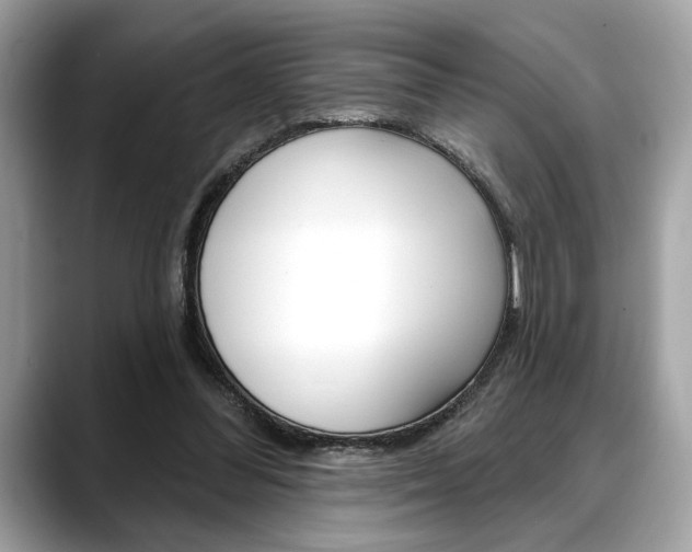 X0000088690300200705311003