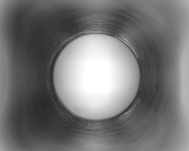 X0000088690301200705311003