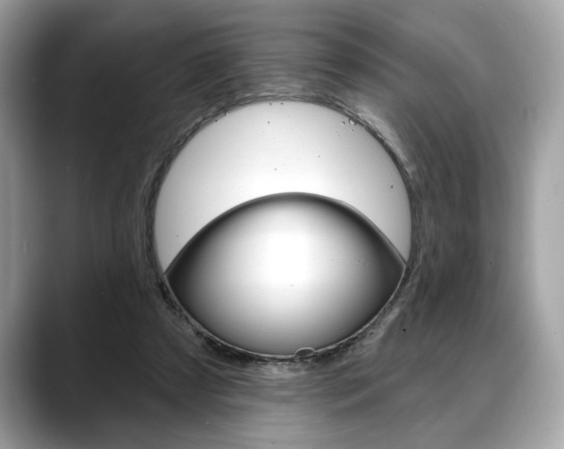 X0000088690305200705311003