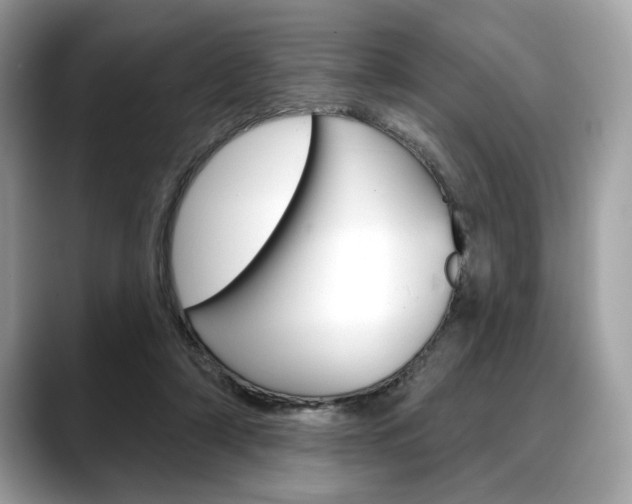 X0000088690306200705311003
