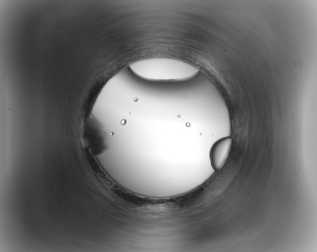X0000088690307200705311003