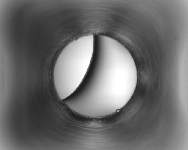 X0000088690308200705311003