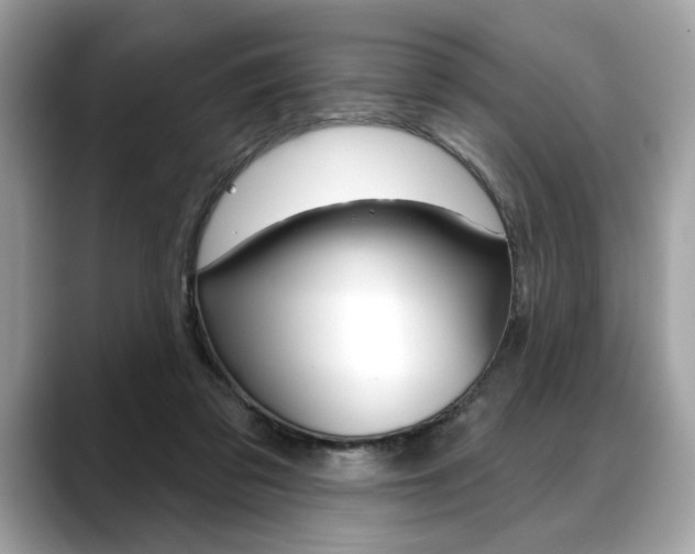 X0000088690309200705311003