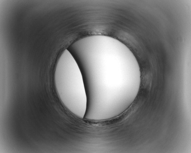 X0000088690310200705311003