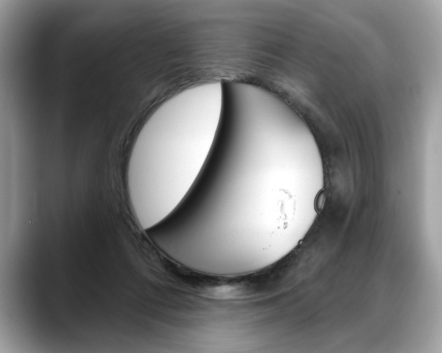 X0000088690312200705311003