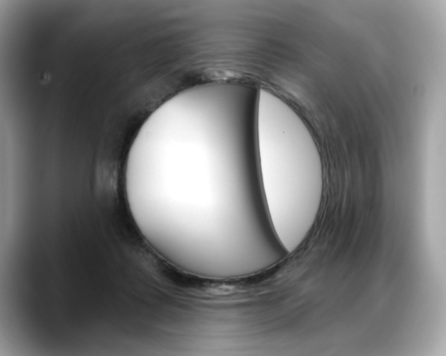 X0000088690315200705311003