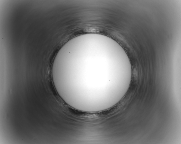 X0000088690322200705311002