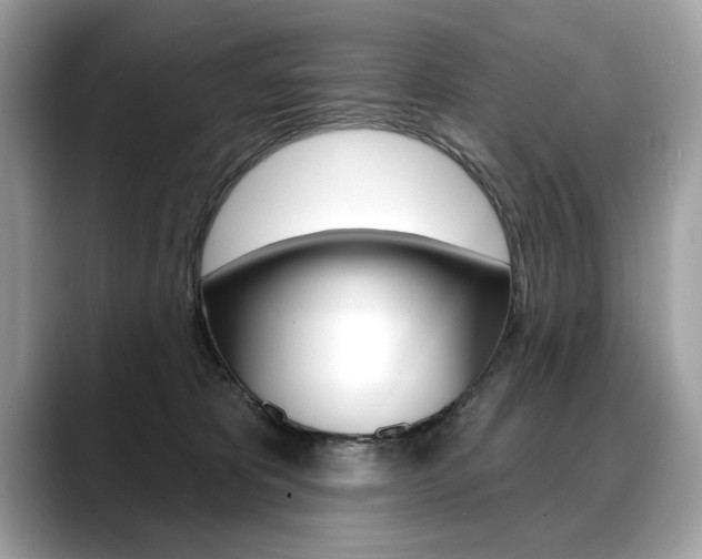 X0000088690325200705311002