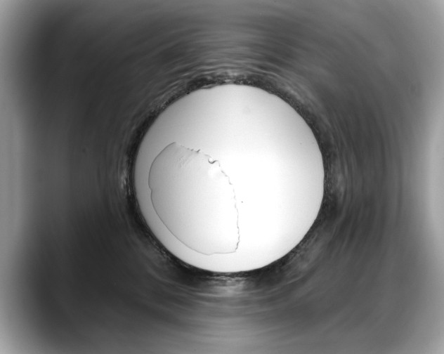 X0000088690328200705311002