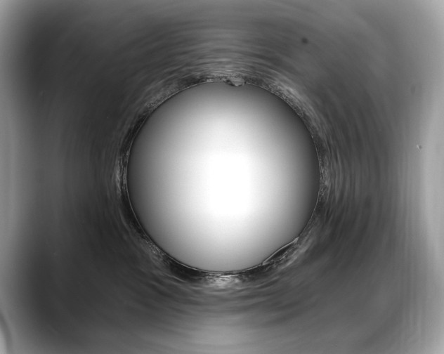 X0000088690333200705311002