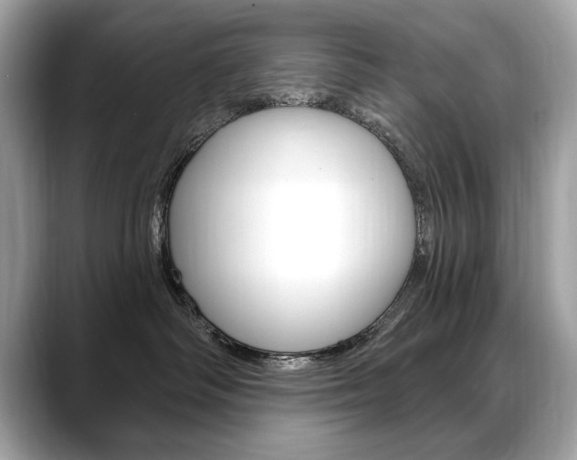 X0000088690334200705311002