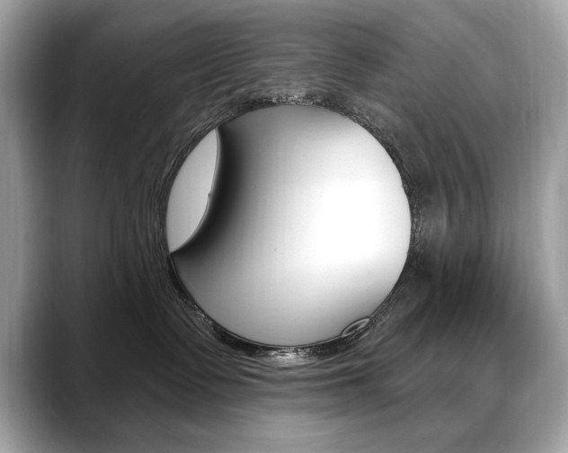 X0000088690335200705311002