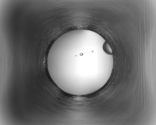 X0000088690336200705311002