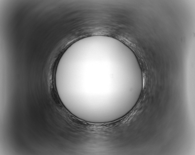 X0000088690339200705311002