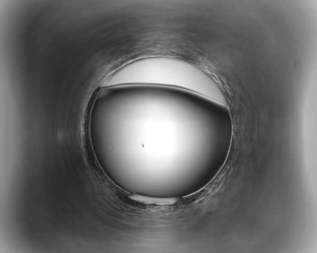 X0000088690340200705311002