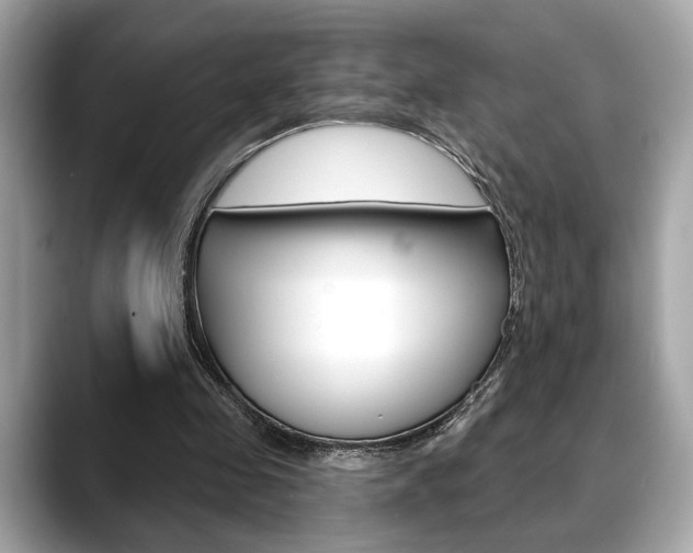 X0000088690341200705311002
