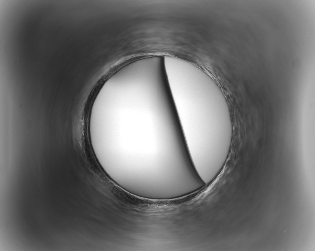 X0000088690342200705311002