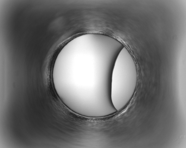 X0000088690343200705311002