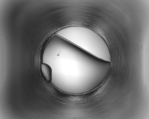 X0000088690349200705311002