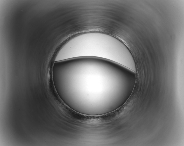 X0000088690350200705311002