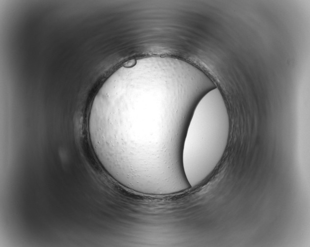 X0000088690351200705311002