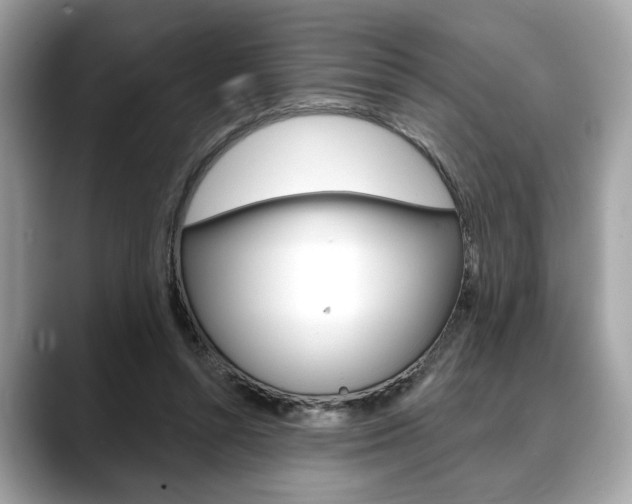 X0000088690352200705311002