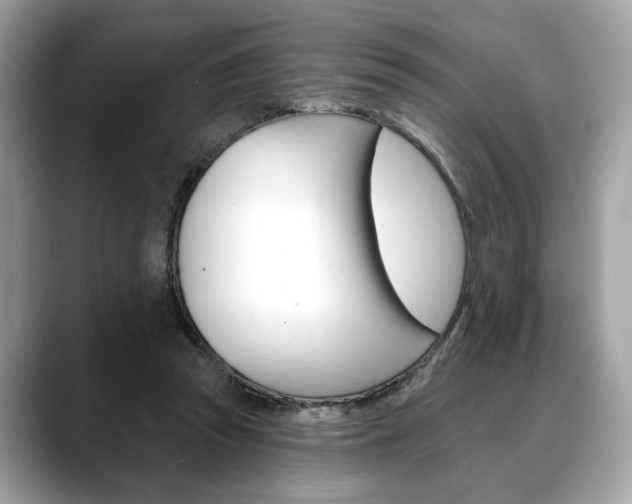 X0000088690353200705311002