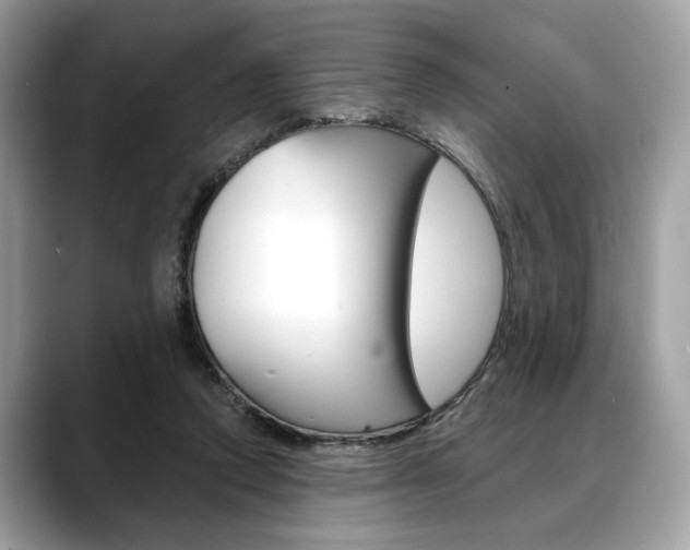 X0000088690354200705311002