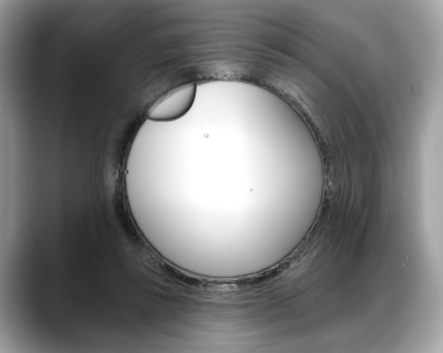 X0000088690355200705311002