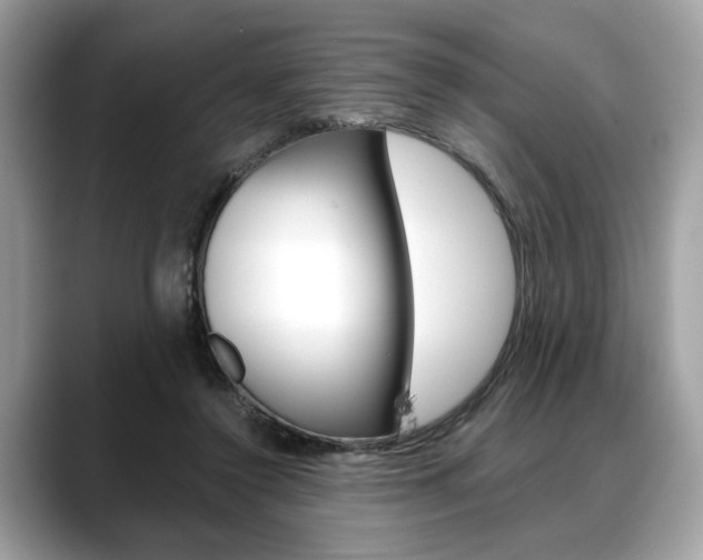 X0000088690356200705311002